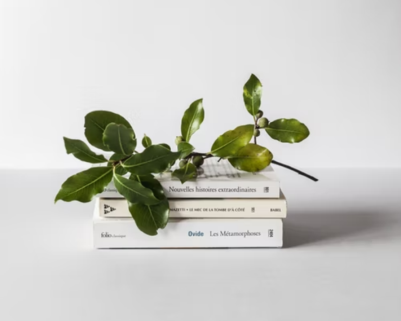 6 Custom Photo Magnets 2x2"